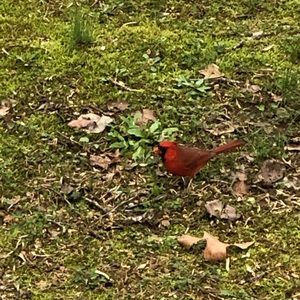 Meet your Posher, Sheri